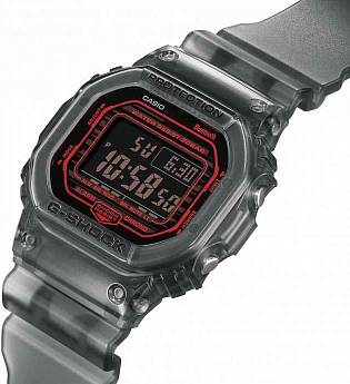 DW-B5600G-1